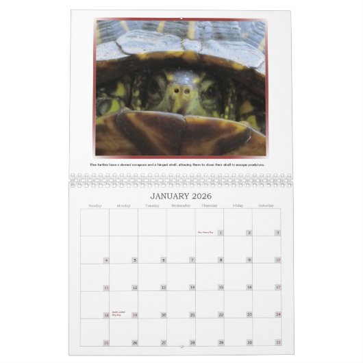 Wilder Kalender der Gesichts-2013 (Jan 2026)