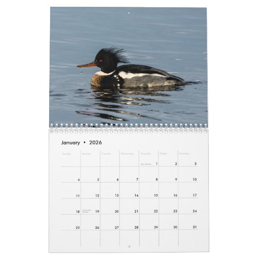 Wilder Kalender des Vogel-2016 (Jan 2026)