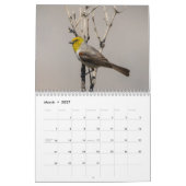 Wilder Kalender des Vogel-2016 (Mär 2027)