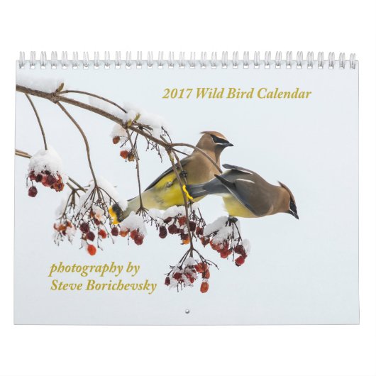 Wilder Kalender des Vogel-2017 (Titelbild)
