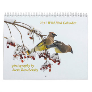 Wilder Kalender des Vogel-2017