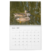 Wilder Kalender des Vogel-2017 (Mär 2027)