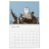 Wilder Kalender des Vogel-2017 (Jan 2027)