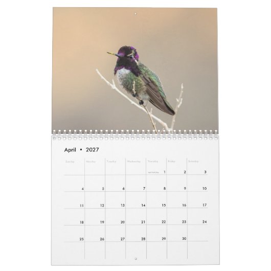 Wilder Kalender des Vogel-2018 (Apr 2027)