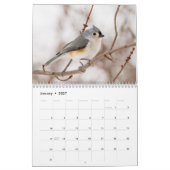 Wilder Kalender des Vogel-2018 (Jan 2027)