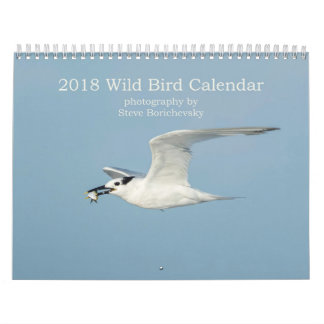 Wilder Kalender des Vogel-2018