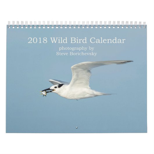 Wilder Kalender des Vogel-2018 (Titelbild)