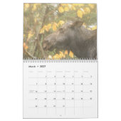 Wilder Kalender Maines Leben-2013 (Mär 2027)