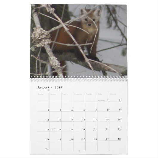 Wilder Kalender Maines Leben-2013 (Jan 2027)