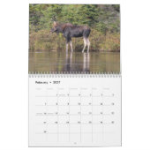 Wilder Kalender Maines Leben-2013 (Feb 2027)