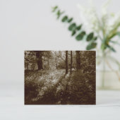 Wilder Knoblauch im Wald - Sepia Toned Postkarte (Stehend Vorderseite)