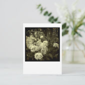 Wilder Knoblauch. Postkarte (Stehend Vorderseite)