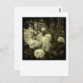 Wilder Knoblauch. Postkarte (Vorne/Hinten)