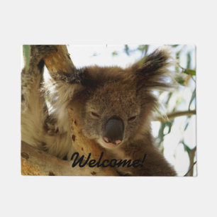 Wilder Koala, der auf Eukalyptusbaum, Foto schläf Fußmatte