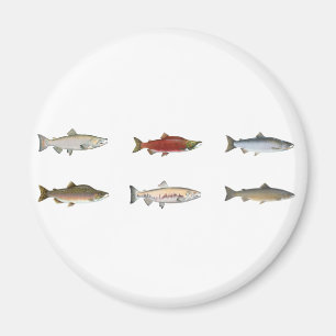 Wilder Lachs Magnet