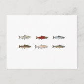 Wilder Lachs Postkarte (Vorderseite)