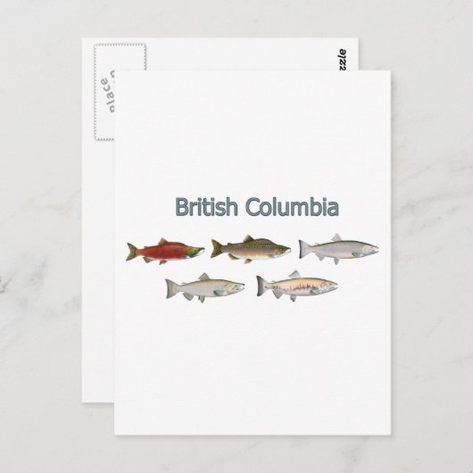 Wilder Lachs Postkarte (Vorne/Hinten)