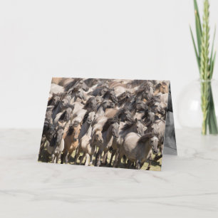 Wilder Lauf - Grußkarte für Wildpferde Karte