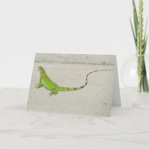Wilder Leguan Karte