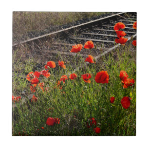 Wilder Mohn    Fliese