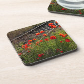 Wilder Mohn Getränkeuntersetzer (Linke Seite)