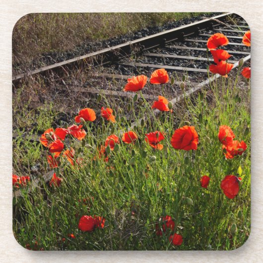 Wilder Mohn Getränkeuntersetzer (Vorderseite)