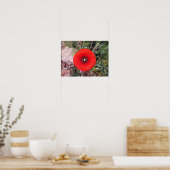 Wilder Mohn Poster (Küche)