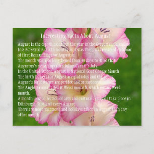 wilder Mohn Postkarte