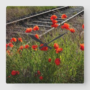 Wilder Mohn  Quadratische Wanduhr