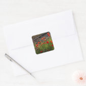 Wilder Mohn Quadratischer Aufkleber (Umschlag)