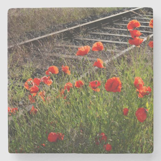 Wilder Mohn Steinuntersetzer (Vorderseite)