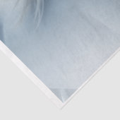 Wilder Mustang bei Sonnenuntergang Seidenpapier (Ausschnitt)