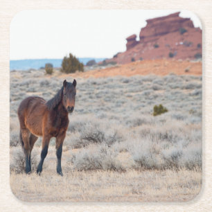 Wilder Mustang-Fohlen Rechteckiger Pappuntersetzer