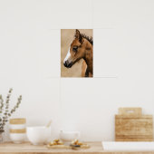 Wilder Mustang-Hengst - Apollo Poster (Küche)