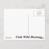 Wilder Mustang Utahs Postkarte (Rückseite)