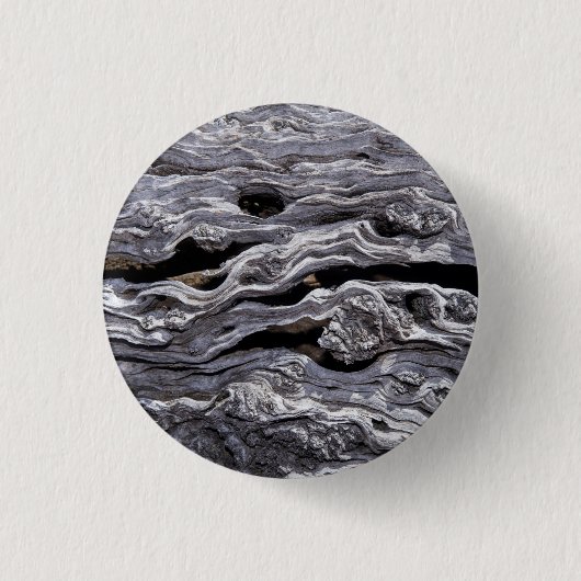 Wilder Olivenbaum| Great Karoo, Südafrika Button (Vorderseite)