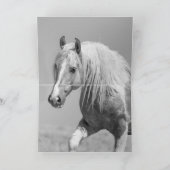 Wilder Palomino Wilder Pferd Grußkarte Karte (Innenseite)