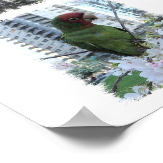 Wilder Papagei von S.F. Poster (Ecke)