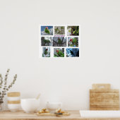 Wilder Papagei von S.F. Poster (Küche)