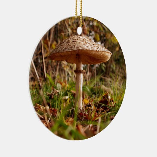 Wilder Pilz Keramik Ornament (Rechts)