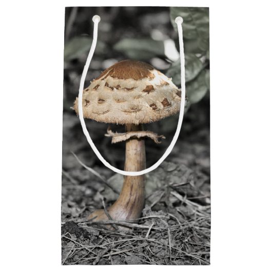 Wilder Pilz (Toadstool) Kleine Geschenktüte (Vorderseite)