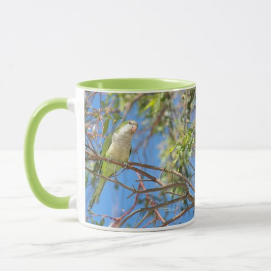 Wilder Quäker plappert Tasse nach (Links)