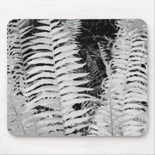 Wilder riesiger Lederschildfarn, Florida, USA. Mousepad