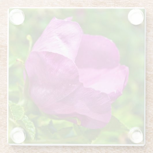 Wilder Rosen-Untersetzer Glasuntersetzer (Rückseite)