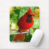 Wilder roter Kardinal in Hawaii Mousepad (Mit Mouse)
