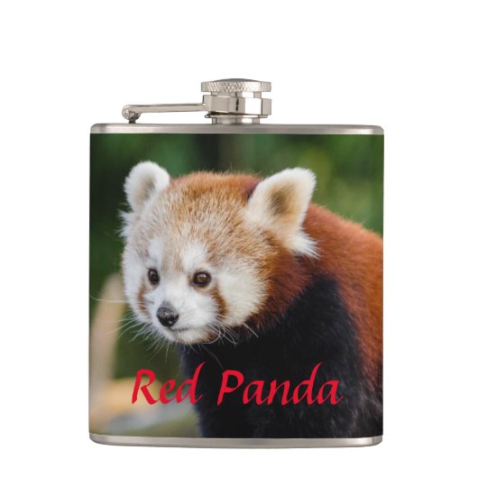Wilder Roter Panda  Flachmann (Vorderseite)