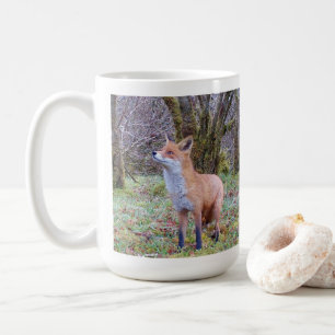 Wilder Rotfuchs Steht Frostige Landschaft Gemütlic Kaffeetasse