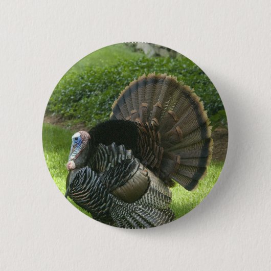 Wilder runder Knopf der Türkei Button (Vorderseite)