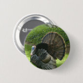 Wilder runder Knopf der Türkei Button (Vorne & Hinten)