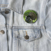 Wilder runder Knopf der Türkei Button (Beispiel)